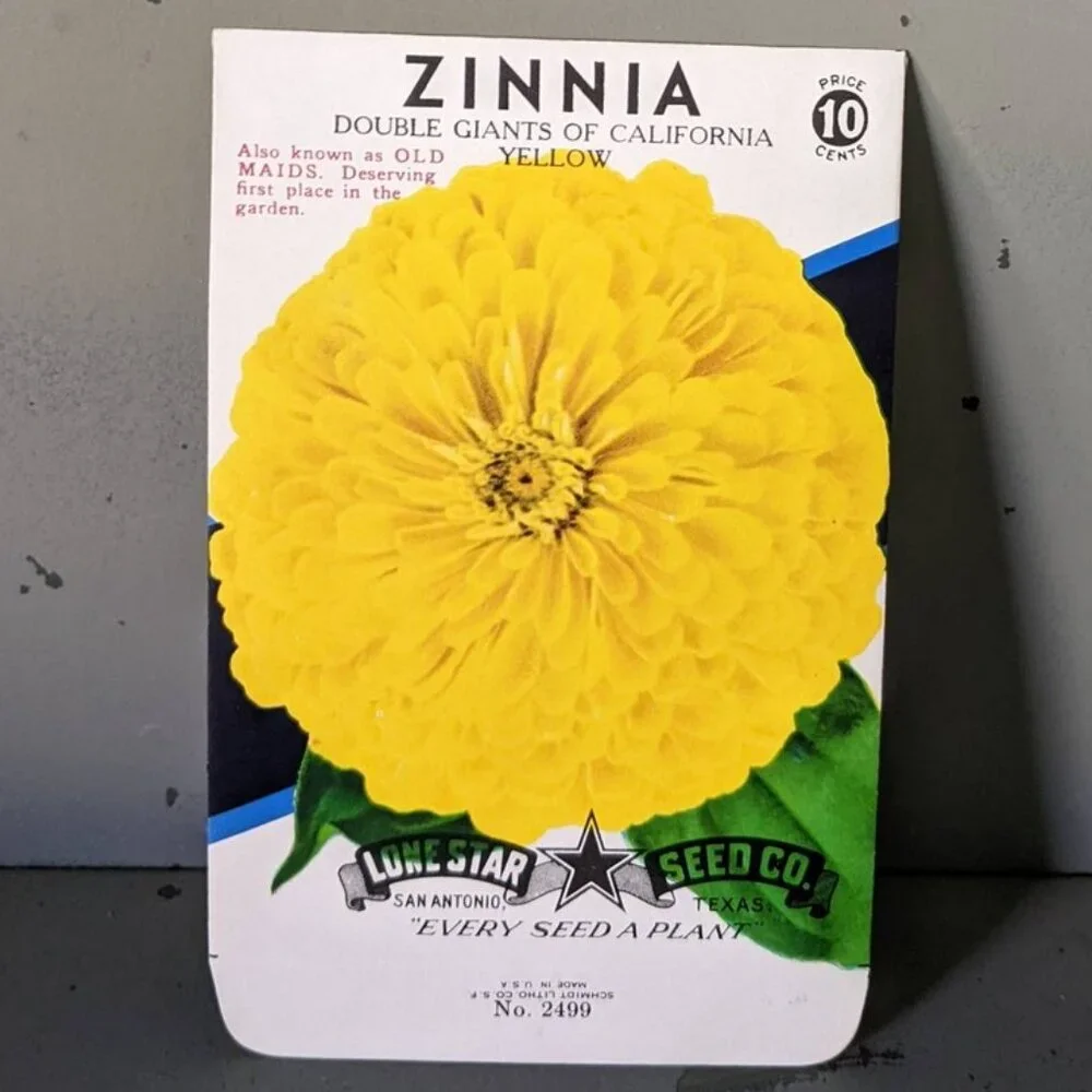 Vintage Yellow Zinnia Empty Seed Packets set of 4 - Picture 1 of 3